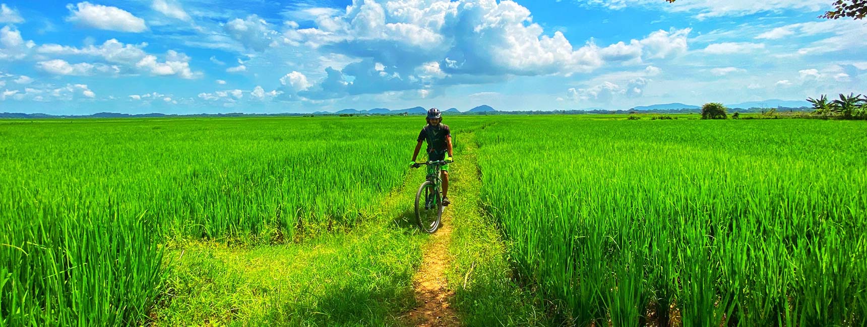 Exclusive Cycling Tours