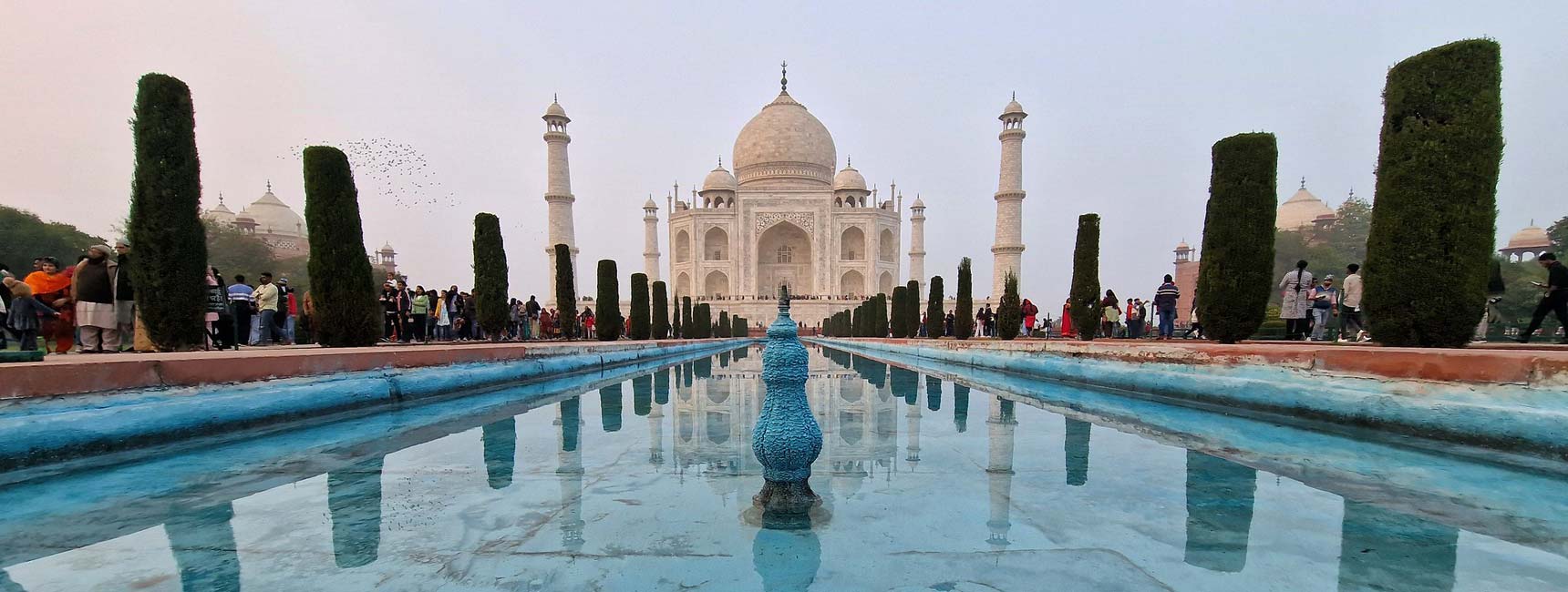 Taj Mahal Trips
